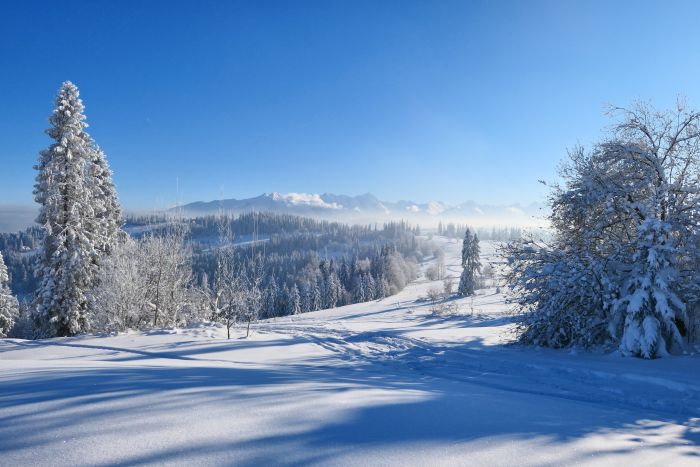 Ferie zimowe w Białce Tatrzańskiej – atrakcje dla dzieci